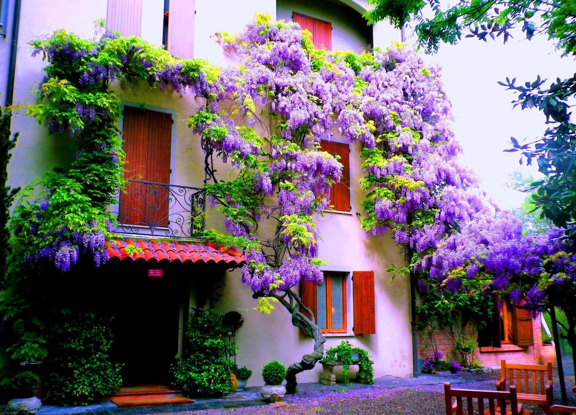 Le Querce Hotel Salsomaggiore Terme Kültér fotó